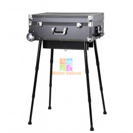 Мобильная студия визажиста Anturium KZ