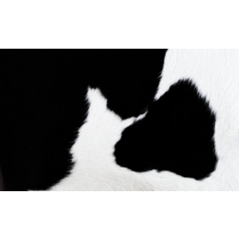 Парикмахерская мойка "Mu-Mu"