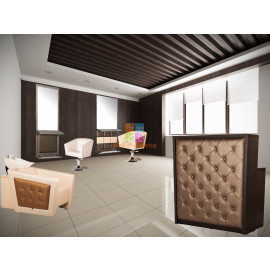 Парикмахерская мойка "Гармония II"