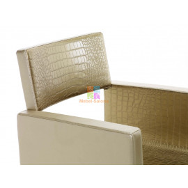 Кресло парикмахерское TAU  KZ