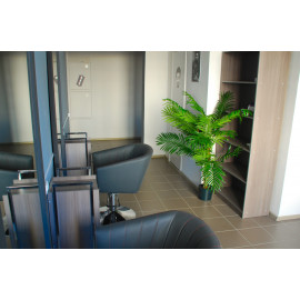 Парикмахерское кресло "Вегас"