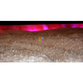 Кушетка SENSATION HALO KZ