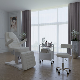 Косметологическое кресло Альфа-10 электропривод, 2 мотора KZ